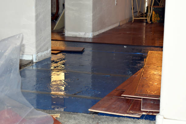 Professional Burst Pipe Cleanup technician working in Economy, IN